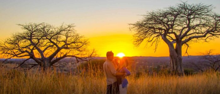 Baobabs-in-Ruaha-National-Park