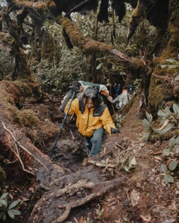Kilimanajro One Day Forest Hike