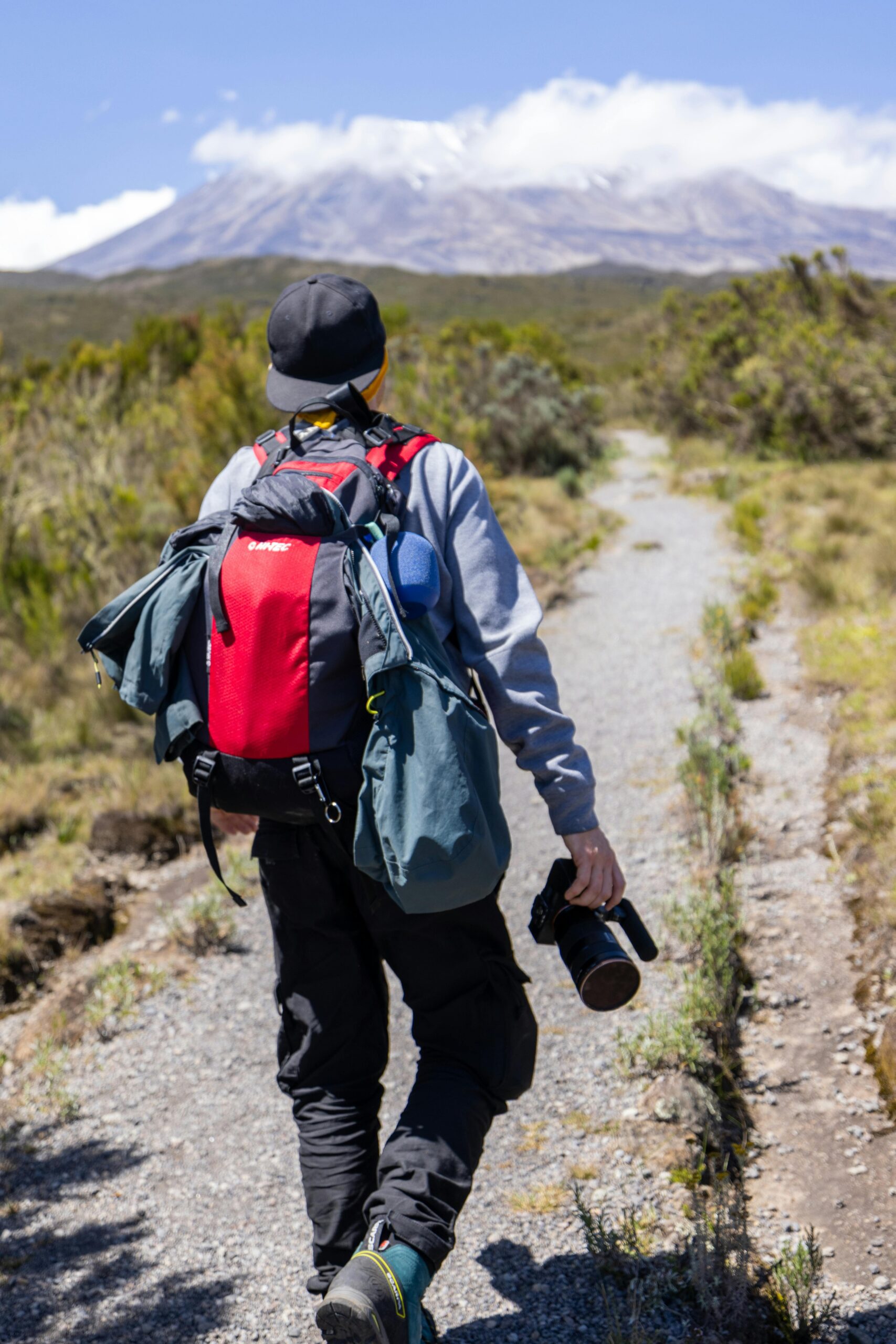 8 Days Lemosho Route Kilimanjaro Climb | Best Scenic Route to Uhuru Peak