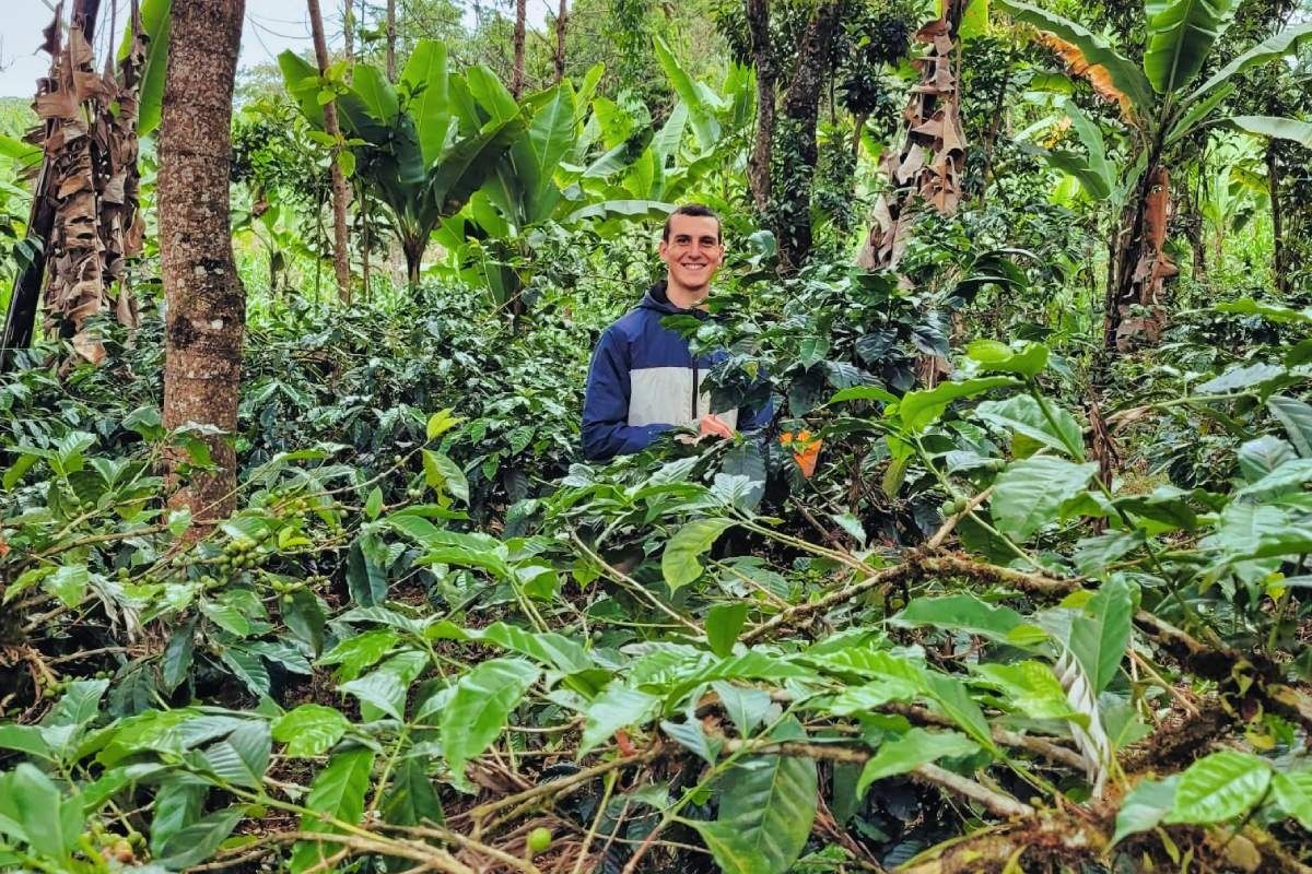 Coffee Farm Tour