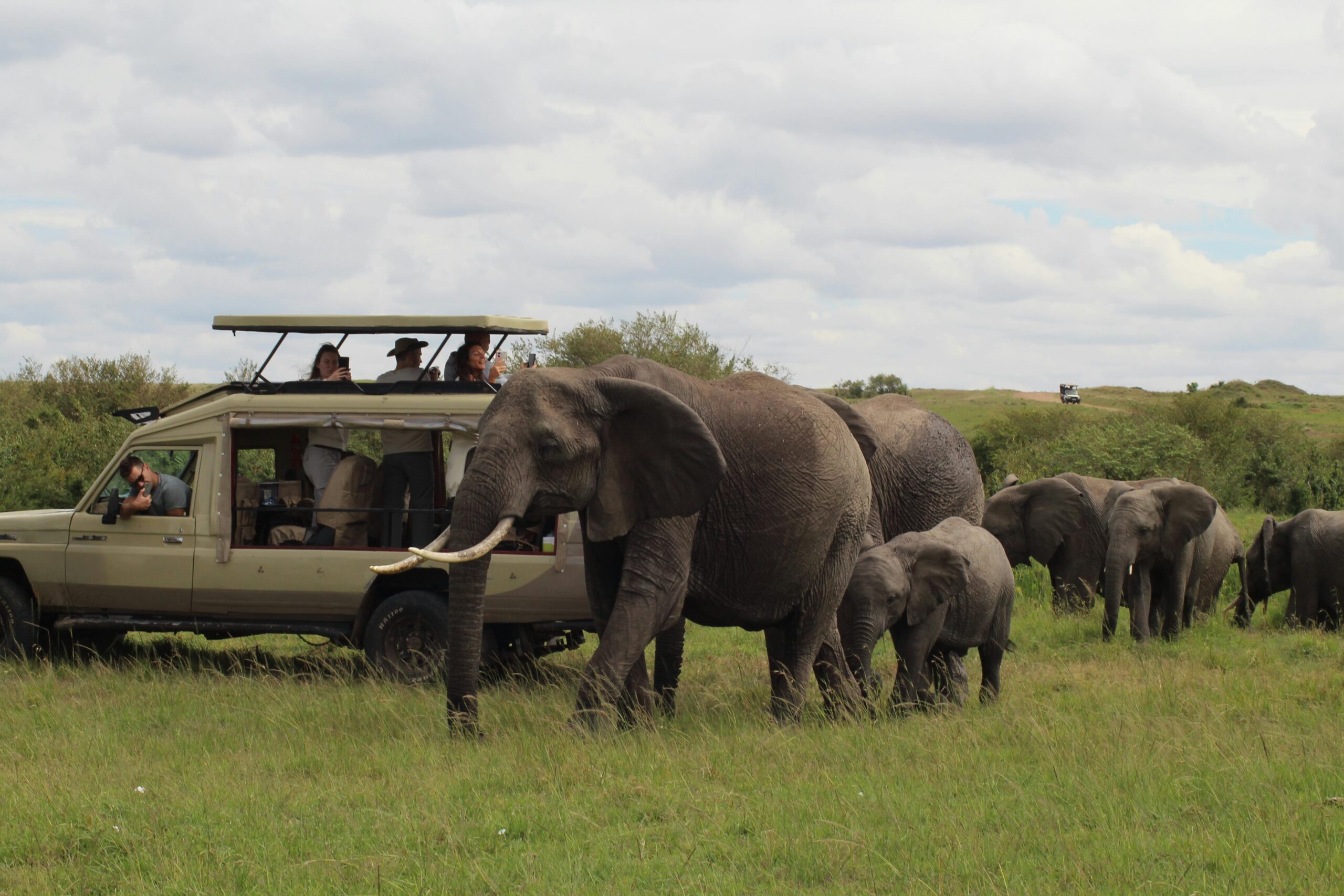 Group Safari Tanzania